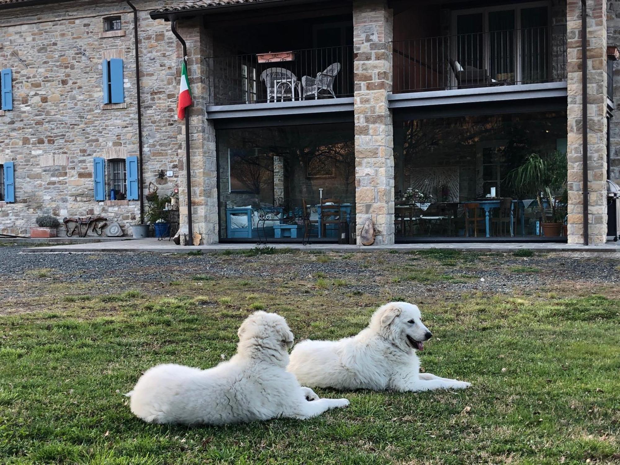 La Locanda Nel Vento Calestano Dış mekan fotoğraf
