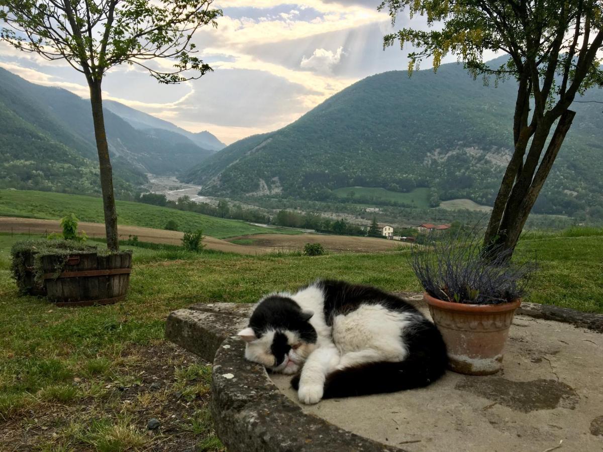 La Locanda Nel Vento Calestano Dış mekan fotoğraf